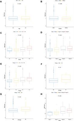 A Fatty Acid Metabolism Signature Associated With Clinical Therapy in Clear Cell Renal Cell Carcinoma